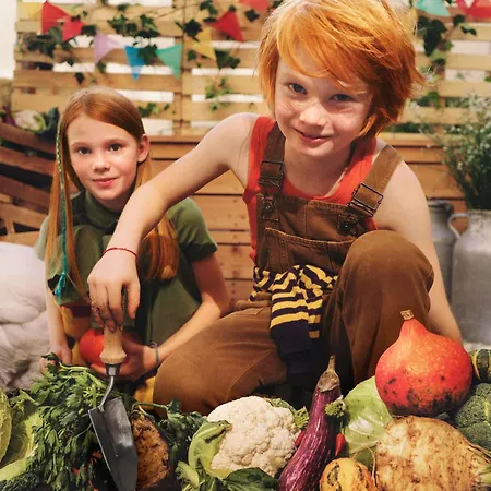 Greet Castres 삭스