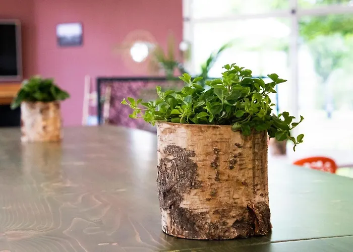 Greet Castres 호텔 3*