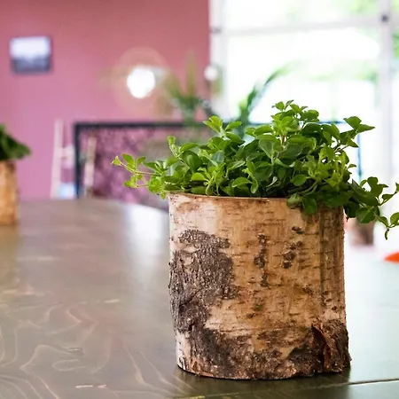 Greet Castres Hotel 3*