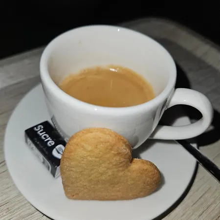 Hotel Greet Castres