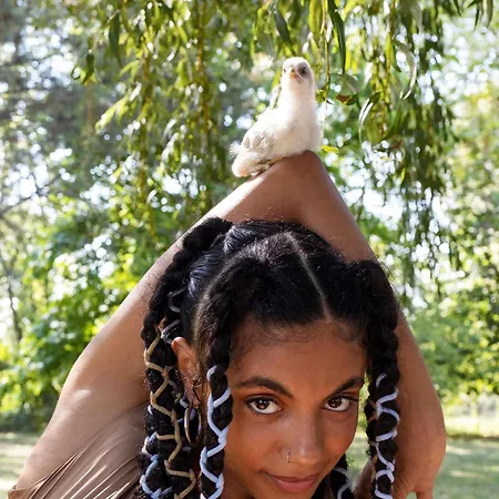 Greet Castres Otel 3*